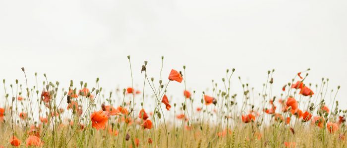 Anxiété quand consulter ?